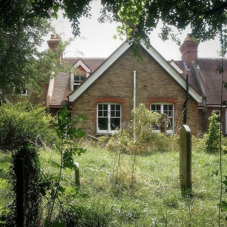 Fantastic 2 Bedroom Victorian Flat In Lewes Eksteriør billede
